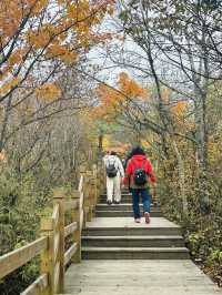 國慶別亂跑！四川這座山把秋天染成紅色海洋，《國家地理》都誇爆