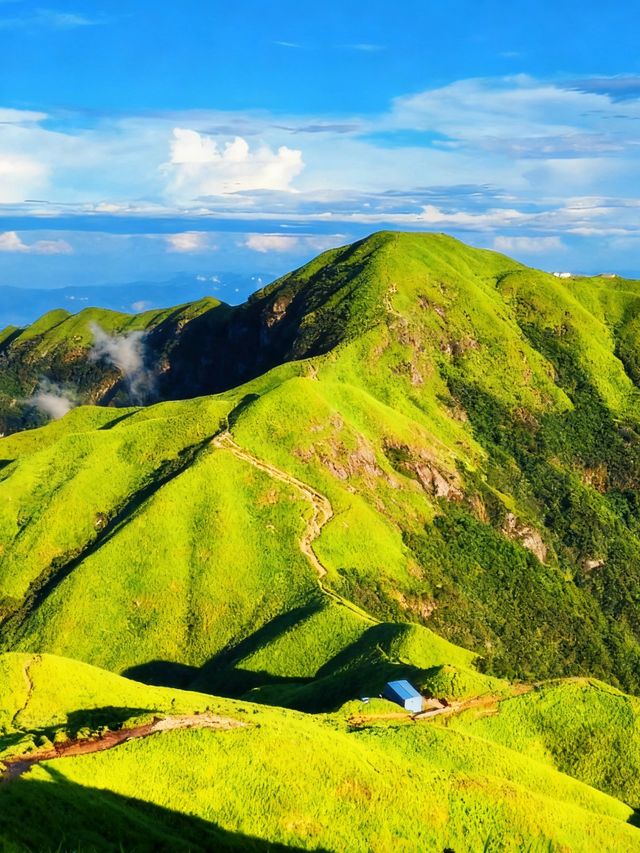 雲端漫步日記｜在武功山被綠色海洋治癒的瞬間