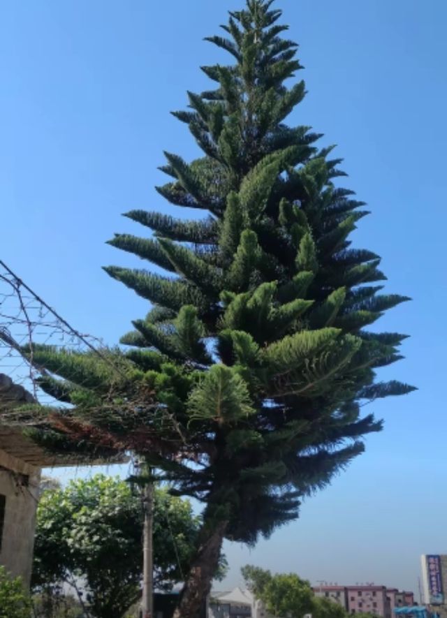 打卡平潭仙人井！世界級火山海蝕奇觀美炸了！