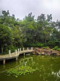 江南香山 | 鹿女湖畔，遺世仙蹤