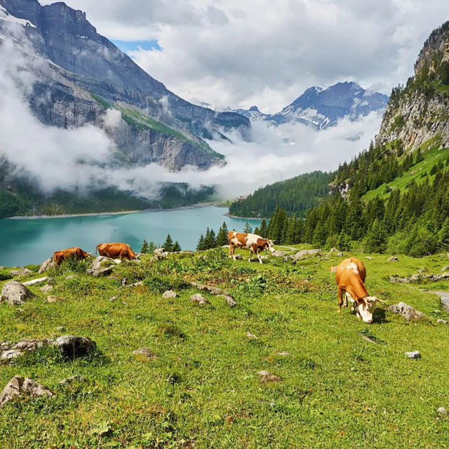 🇨🇭스위스에서 꼭 가봐야 할 호수! 에메랄드 빛 외시넨 호수의 마법✨