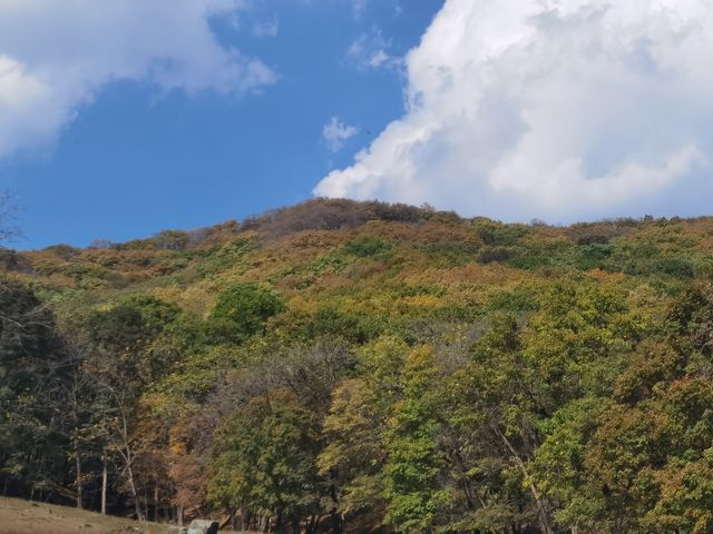 秋山