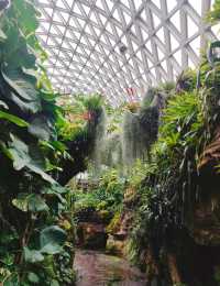 超全攻略！上海辰山植物園打卡指南