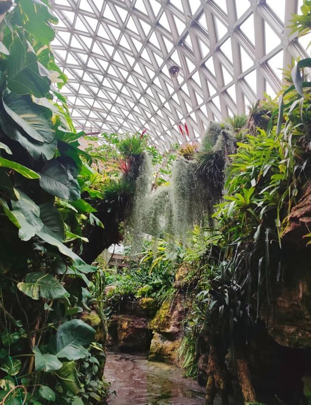 超全攻略！上海辰山植物園打卡指南
