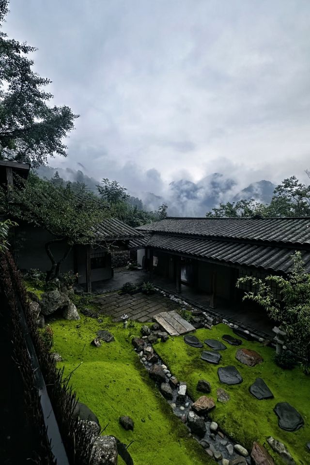 山凹凹裡的神仙民宿！睡進森林裡，連呼吸都在治癒