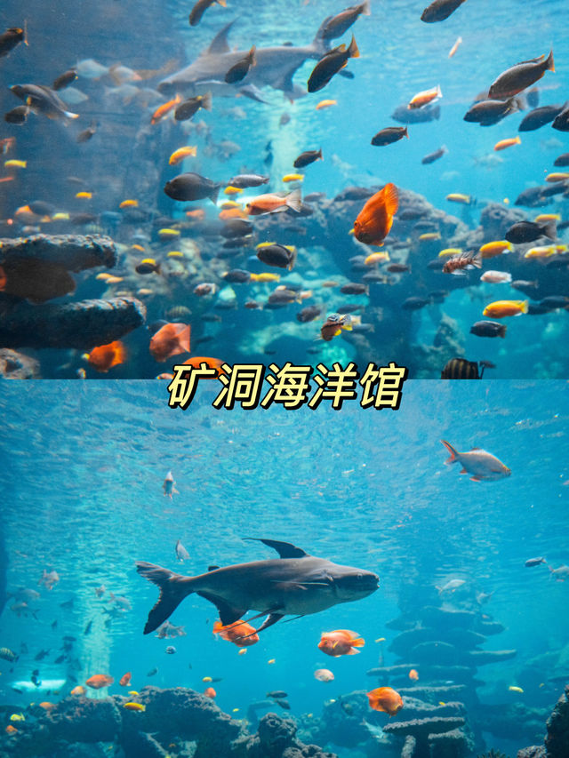 廣佛周邊遊長鹿旅遊休博園親子遊攻略