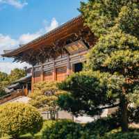 ๐์ํ์ด์ ํ ๋น๋๋ผ ํ ์ ์, ๊ฐ์์ ์๋ฒฝํ ์ ์ทจ ๐ฏ