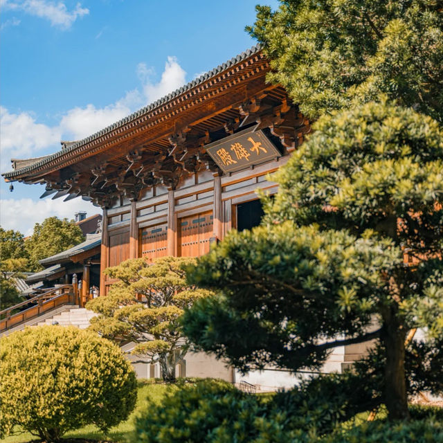 ๐์ํ์ด์ ํ ๋น๋๋ผ ํ ์ ์, ๊ฐ์์ ์๋ฒฝํ ์ ์ทจ ๐ฏ ๐์ํ์ด์ ํ ๋น๋๋ผ ํ ์ ์, ๊ฐ์์ ์๋ฒฝํ ์ ์ทจ ๐ฏ