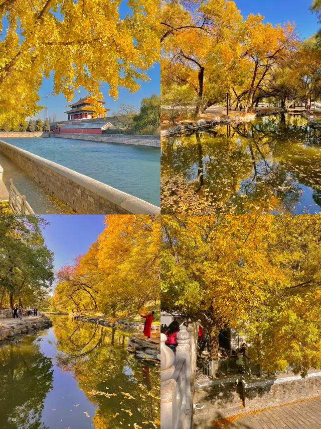 再過兩週北京才開始進入真正的秋天