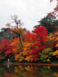 被上帝私藏的調色盤！雲平山秋日秘境遊記