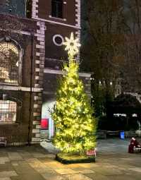 芬蘭極光下遇見聖誕老人！這座童話小鎮美哭了