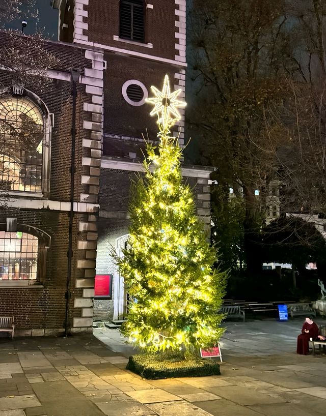 芬蘭極光下遇見聖誕老人！這座童話小鎮美哭了