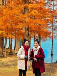 雲南沙溪古鎮|茶馬古道最後的詩意秋色 慢生活天花板