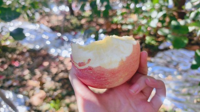 絕美海岸線發呆指南 絕美海岸線發呆指南