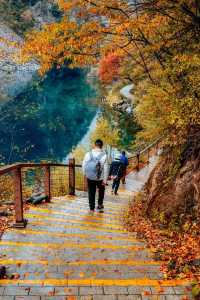 隴上小九寨-遮陽山3日遊