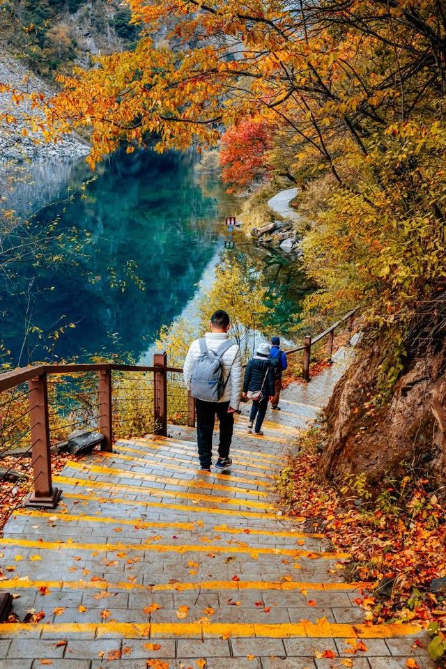 隴上小九寨-遮陽山3日遊