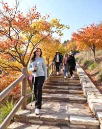 私藏!北京絕美紅葉秘境不用人擠人也能拍大片!