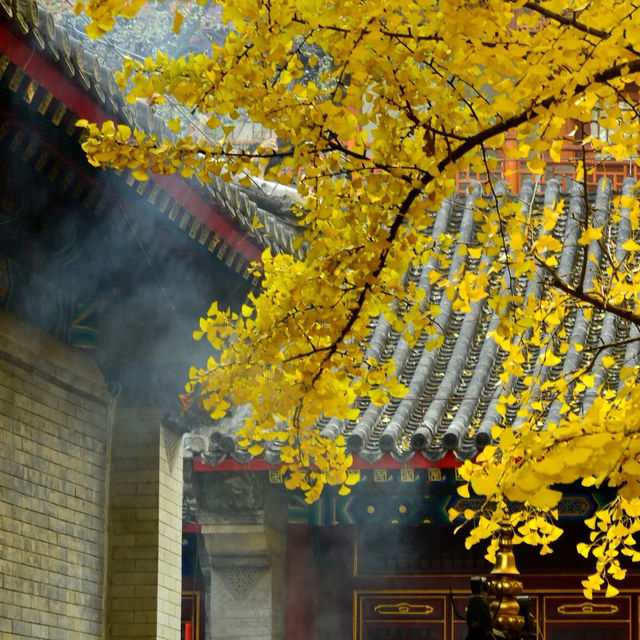 🍁 가을이 가장 아름다운 사찰, 대비사에서 찾은 고요함 🍁 가을이 가장 아름다운 사찰, 대비사에서 찾은 고요함