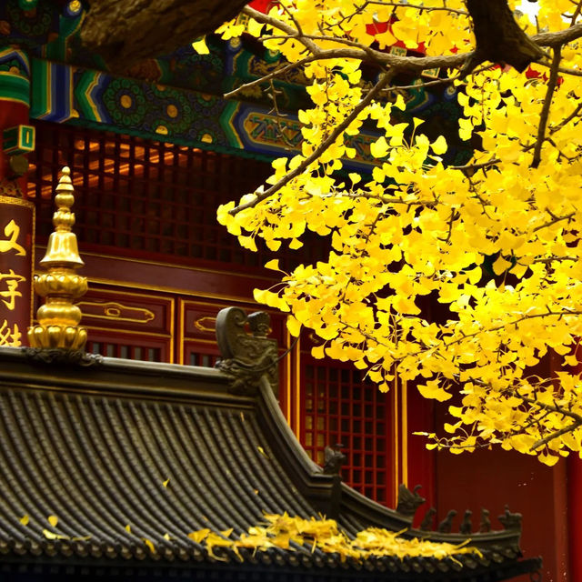 🍁 가을이 가장 아름다운 사찰, 대비사에서 찾은 고요함 🍁 가을이 가장 아름다운 사찰, 대비사에서 찾은 고요함