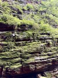 山林古道美如畫