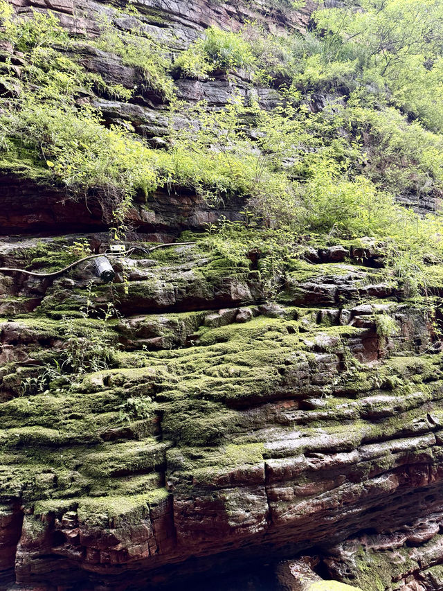 山林古道美如畫