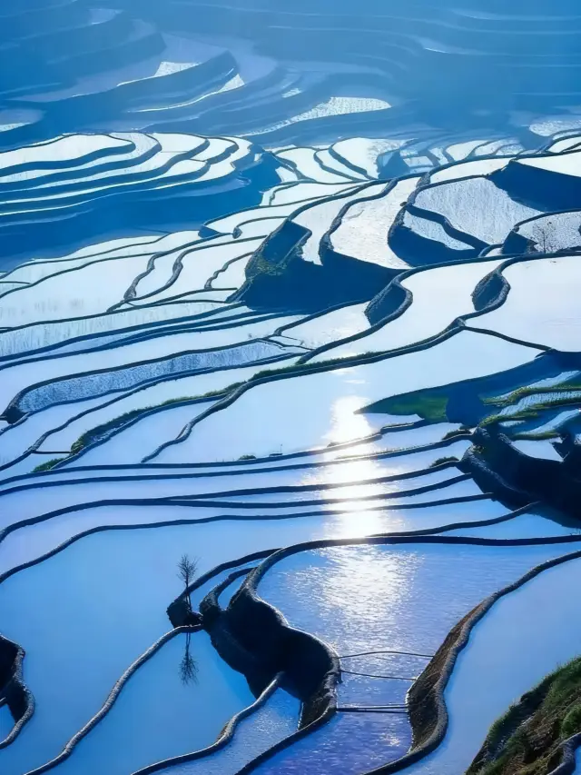 The most beautiful season for Yuanyang Rice Terraces is here! The best viewing period from November to December guide