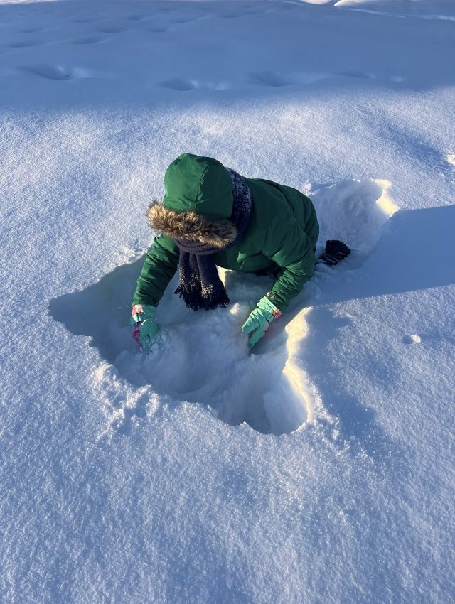 為什麼要11月來漠河玩雪？雪鄉第二來囉