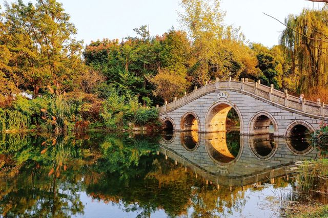 成都秋色指南：銀杏、紅楓與市井煙火交織的浪漫