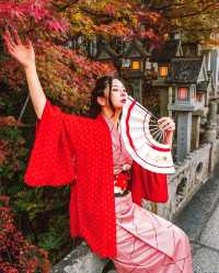 奈良秋季紅葉打卡指南收藏這篇就夠了！