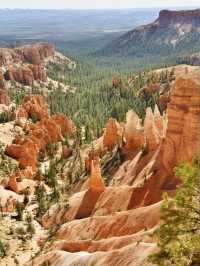 14天暢遊美國保姆級攻略來啦