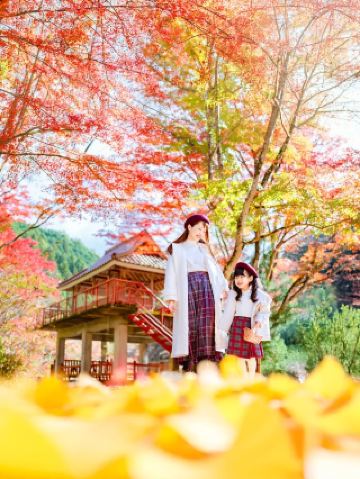 Hidden Gem for Autumn Leaves! Aichi Prefecture's Stunning Autumn Travel Photography Spots Recommended
