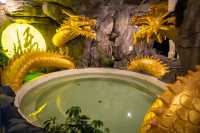 湯泉新啟｜千島湖畔，赴一場暖冬之約