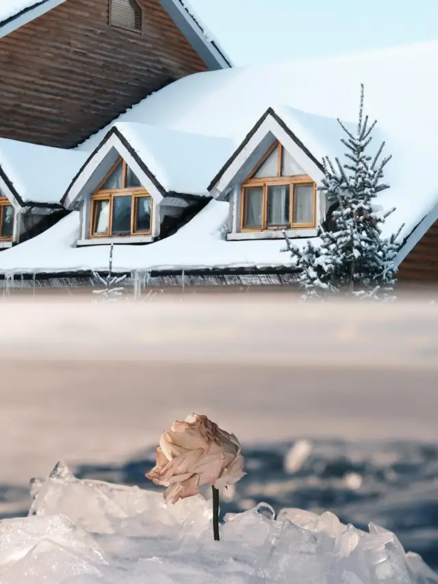 免費體驗！新疆冬季仙境限量邀請