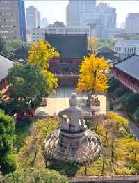 遠離喧囂，訪南京觀音樓