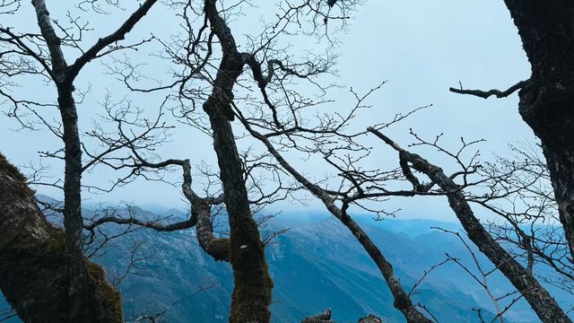 藏在秦巴秘境中的龍頭山也太絕了吧雲海繚繞山峰，有如仙境！這份一日遊攻略趕緊收好～  漢中龍頭山