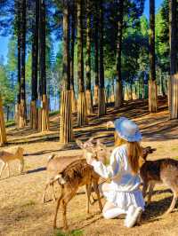 宜興這的秋天 建議去這裡