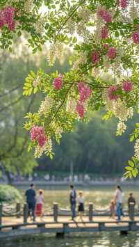 孝感4日精華遊攻略