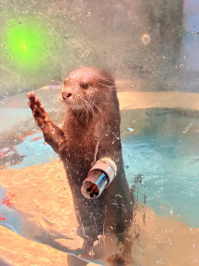 目測會成為泉州下一個No.1