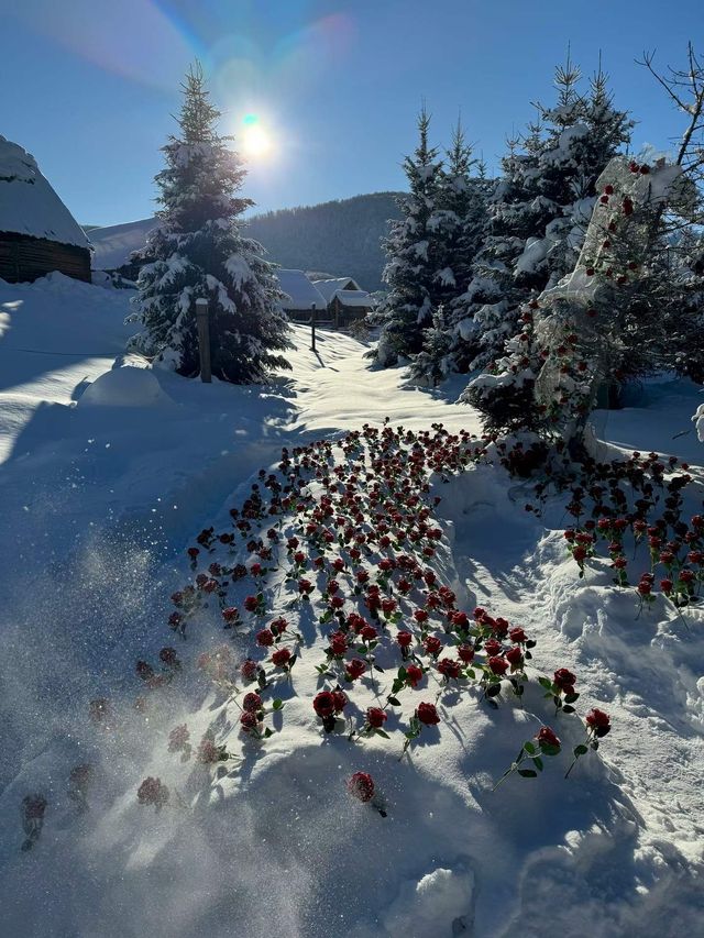 冰雪覆蓋的村落 冰雪覆蓋的村落
