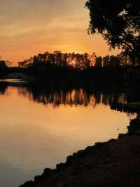 先喊一句:揭陽西湖你還有多少驚喜是我們不知道的!