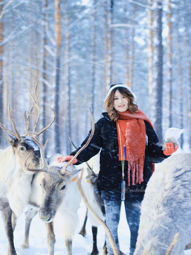 !漠河3天2晚小團把浪漫焊死在冬天裡 !漠河3天2晚小團把浪漫焊死在冬天裡