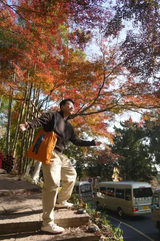 A trip to Moganshan in autumn is a must