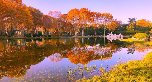 斑斕調色盤,律動生活詩--武漢解放公園秋色 斑斕調色盤,律動生活詩--武漢解放公園秋色