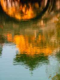 在濮院 | “樹樹皆秋色，波波成畫屏”