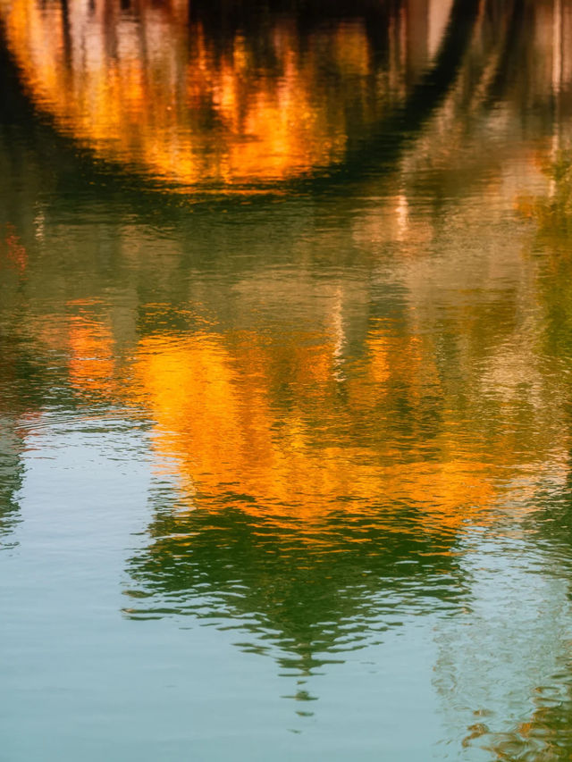 在濮院 | “樹樹皆秋色，波波成畫屏”