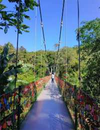 冬天來昆明等地真的不虛此行