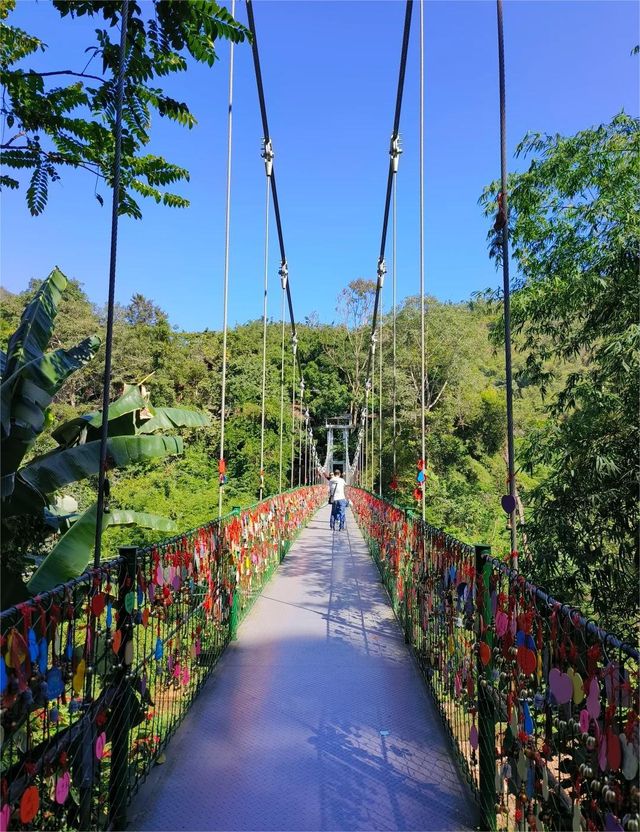 冬天來昆明等地真的不虛此行 冬天來昆明等地真的不虛此行