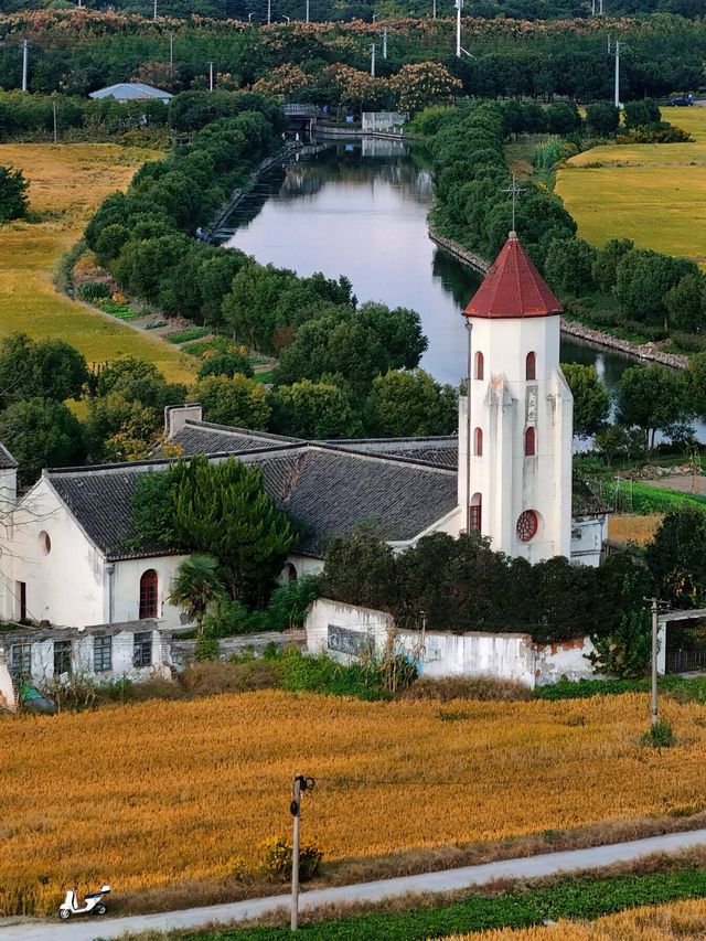 松江童話小村莊張樸村教堂與稻田 松江童話小村莊張樸村教堂與稻田