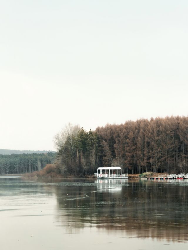 淨月潭：在冷杉林與月亮之間豢養一汪液態翡翠
