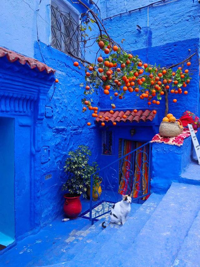 冬日摩洛哥|這個神秘的地方值得你去嗎 冬日摩洛哥|這個神秘的地方值得你去嗎
